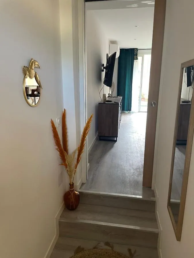 Appartement En Rez De Jardin Tout Equipe Fleurance